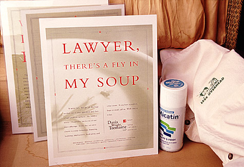 Lawyer, there's a fly in my soup.